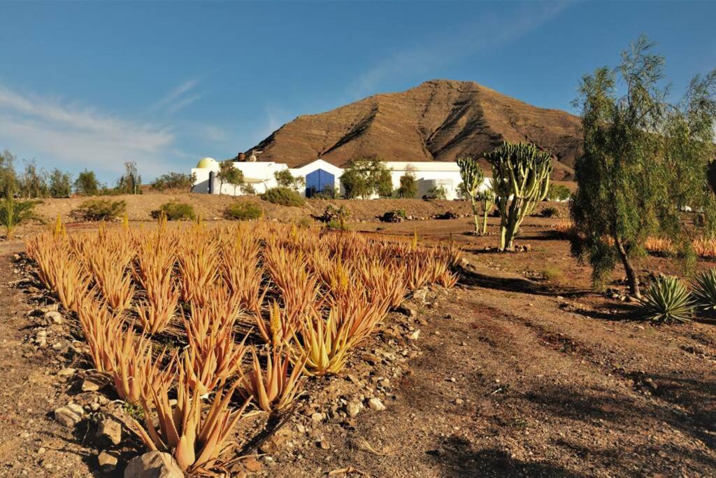 Romantica Fuego - Eco Retreat Finca Artis Tirma Tarajalejo Bagian luar foto